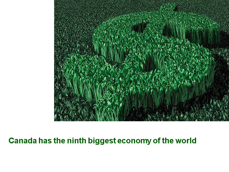 Canada has the ninth biggest economy of the world